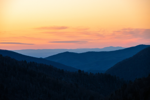 Image for Don't let the sun set on this deal! 🌄